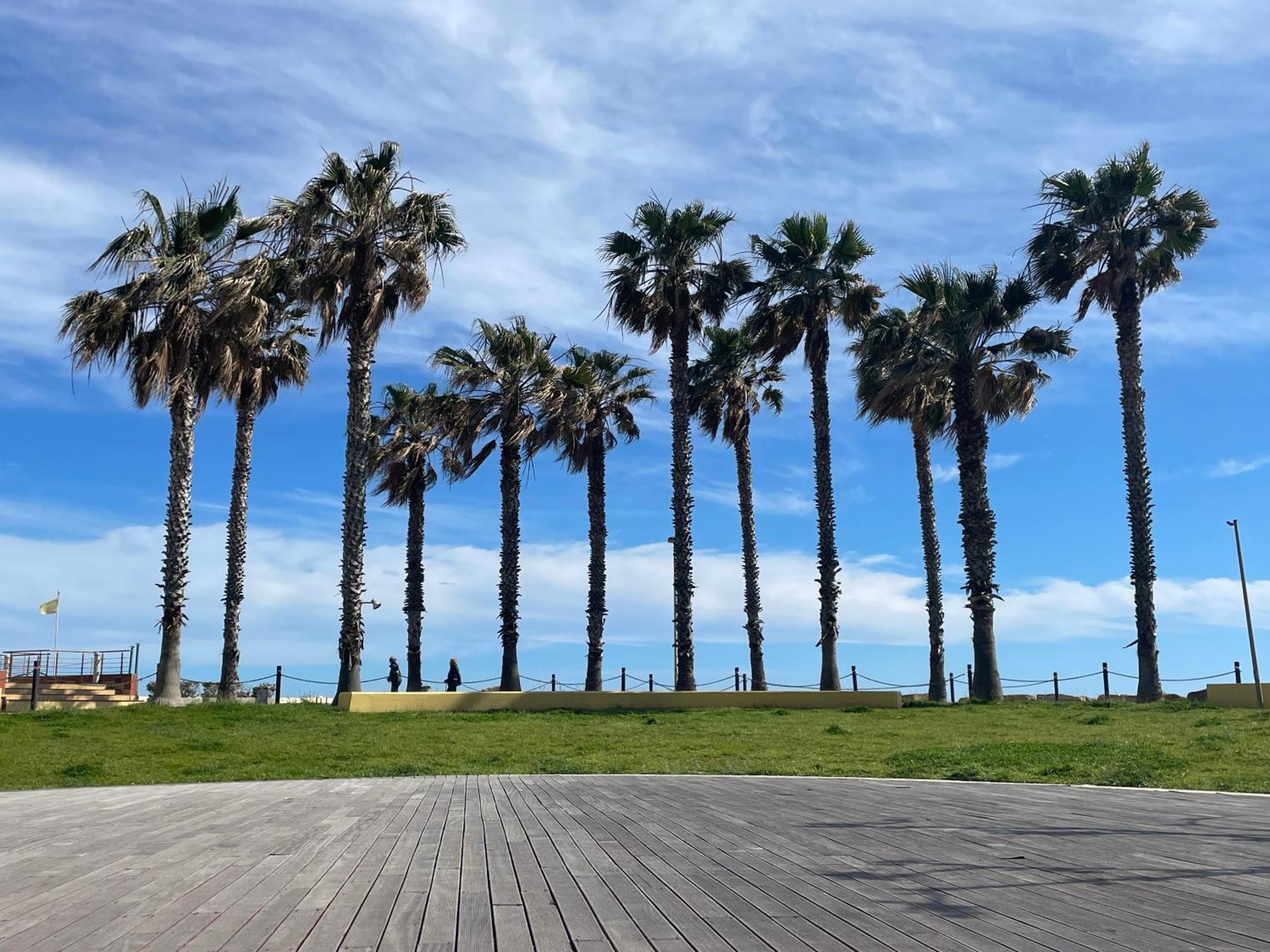 Apartmán Bistrot Del Mare Santo Stefano al Mare Exteriér fotografie